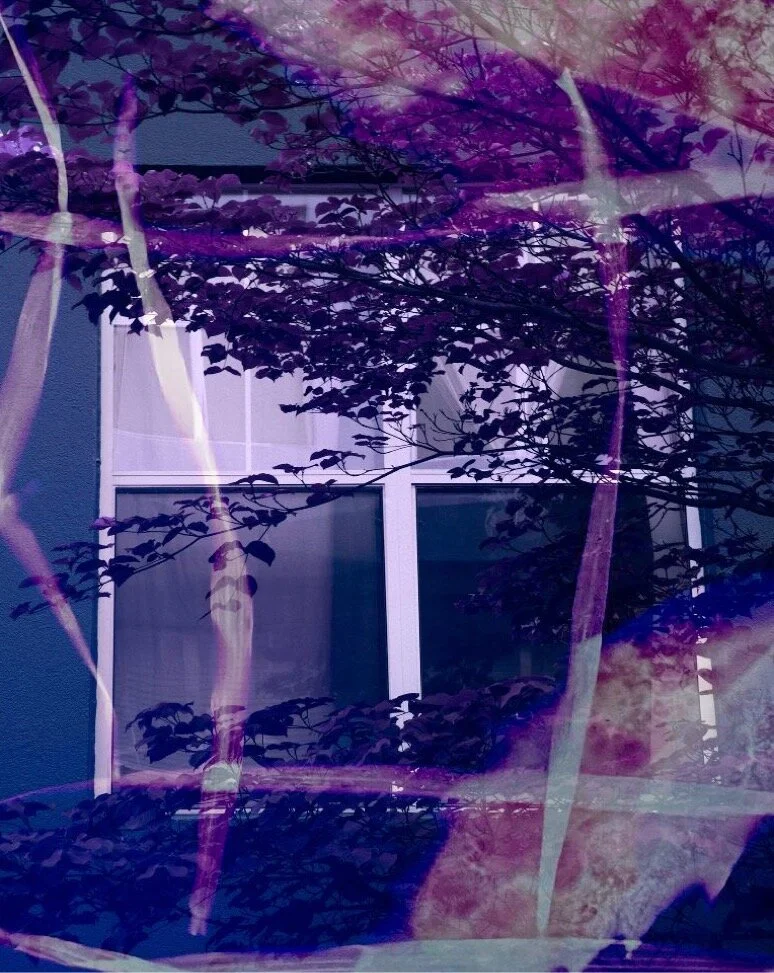 LumenLoci Window.JPG