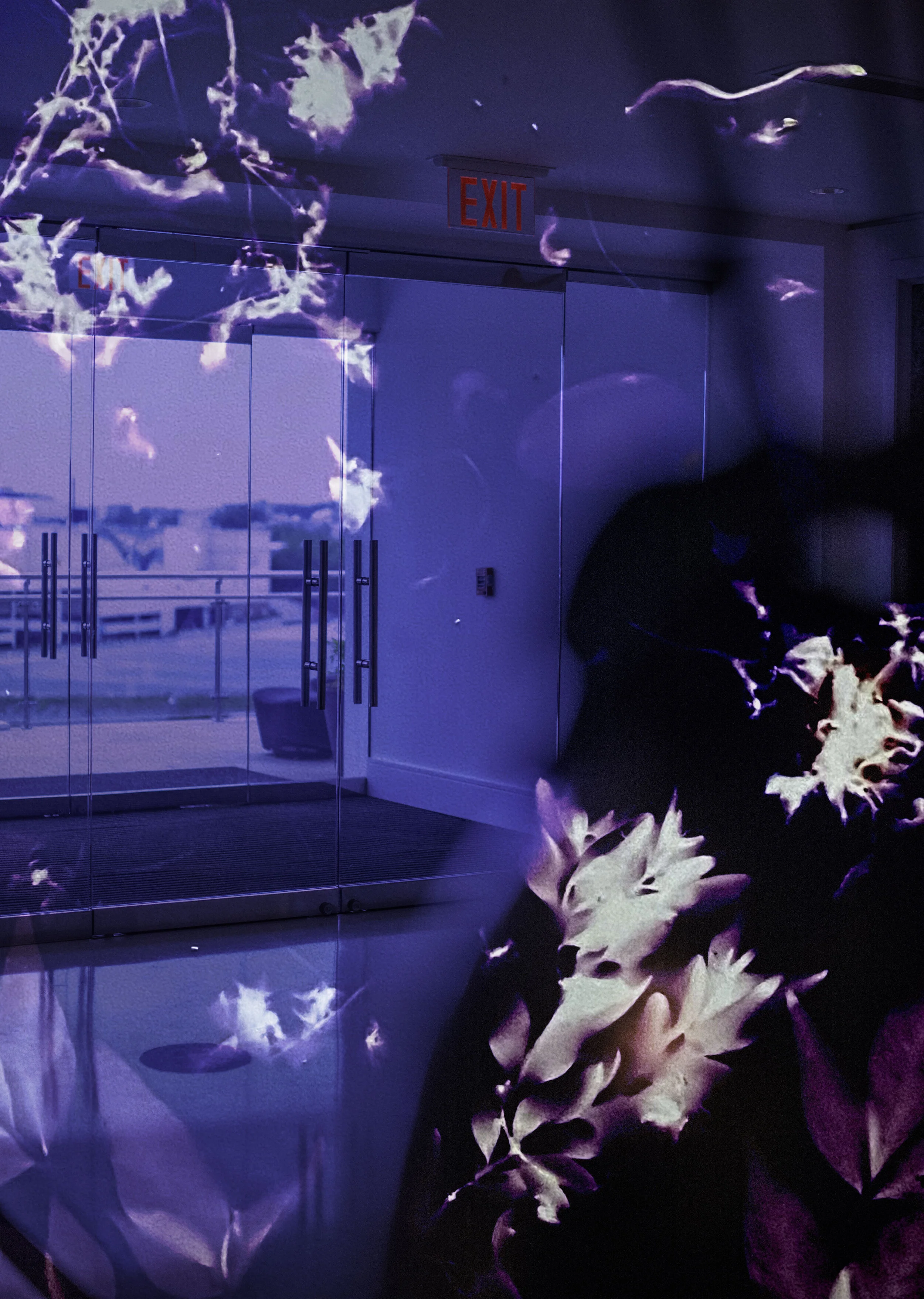 LumenLoci SCADFASH.JPG