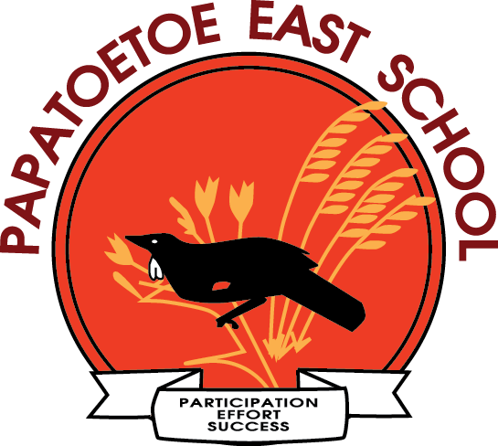 Papatoetoe East WS.png