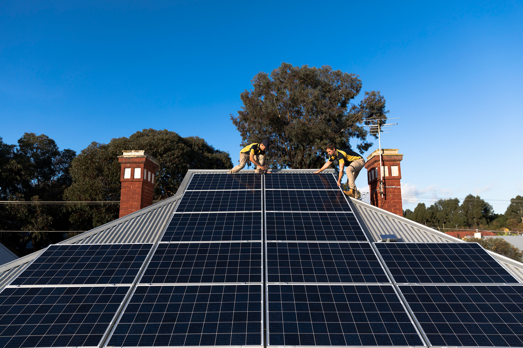 Goliath-Solar-Small-Team-Big-Impact.jpg