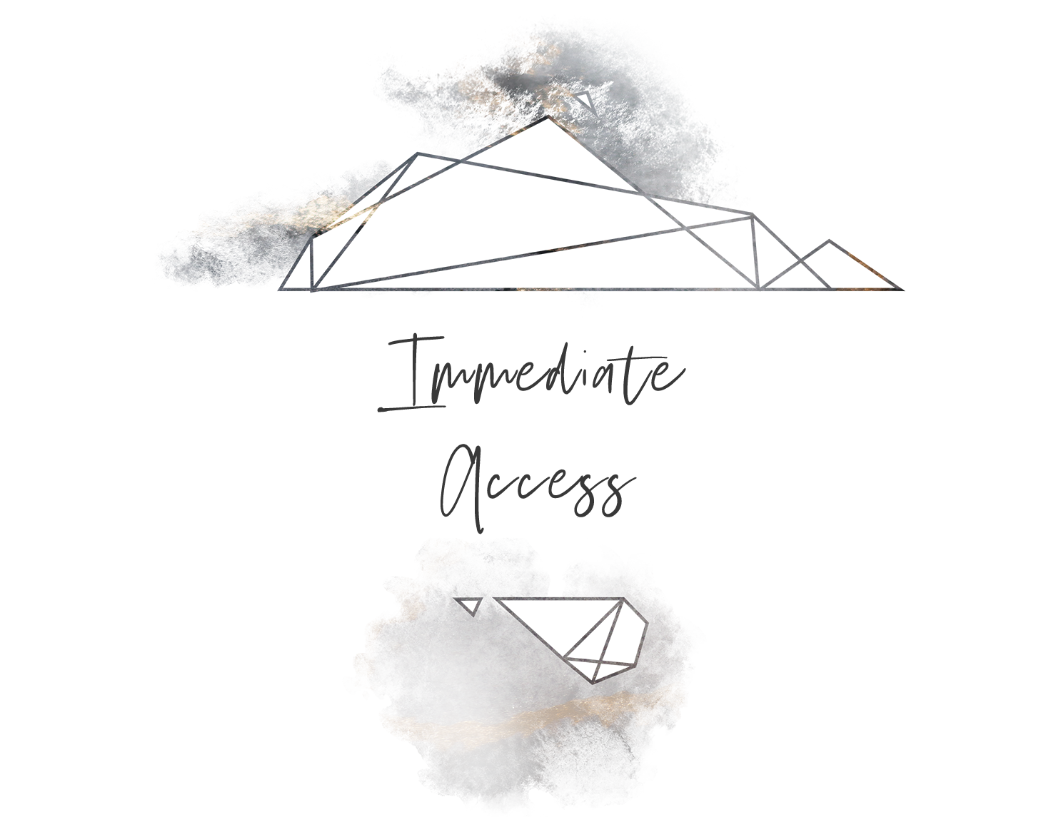 Immediate Access.png