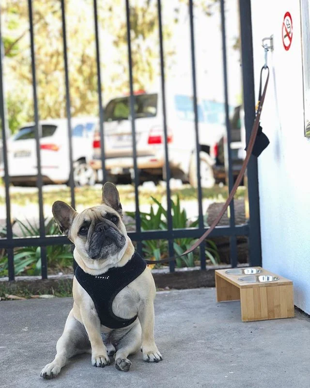 // Waiting for Monday morning coffee like...