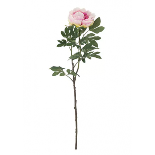 IKEA SMYCKA Peony  , $17.90