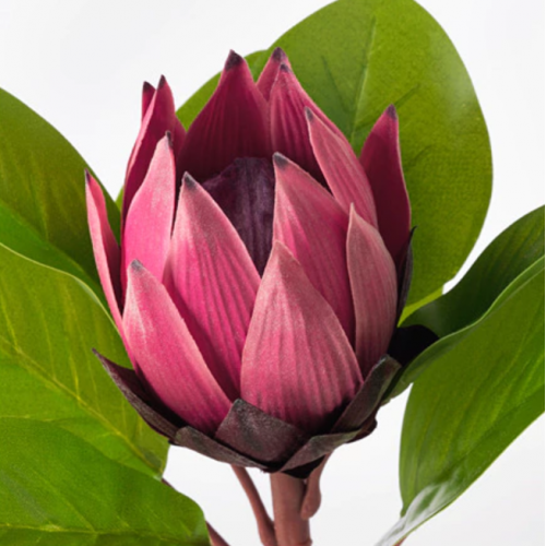 IKEA SMYCKE Protea  , $17.90