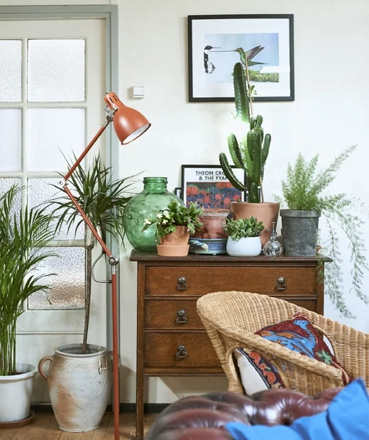 reading lamp__201931_idip14a_06_PH158970.jpg