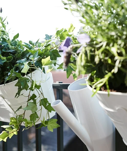 grow-plants-along-a-small-balcony-to-blur-the-line-between-indoors-and-outside__201941_idip10a_05_PH160207.jpg