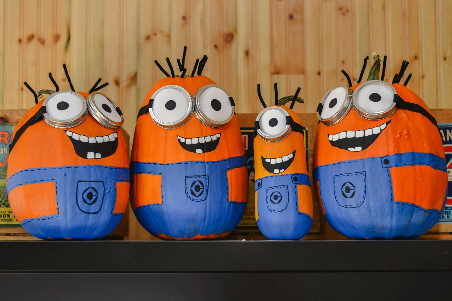 Willowview Farms Minion Pumpkins :)