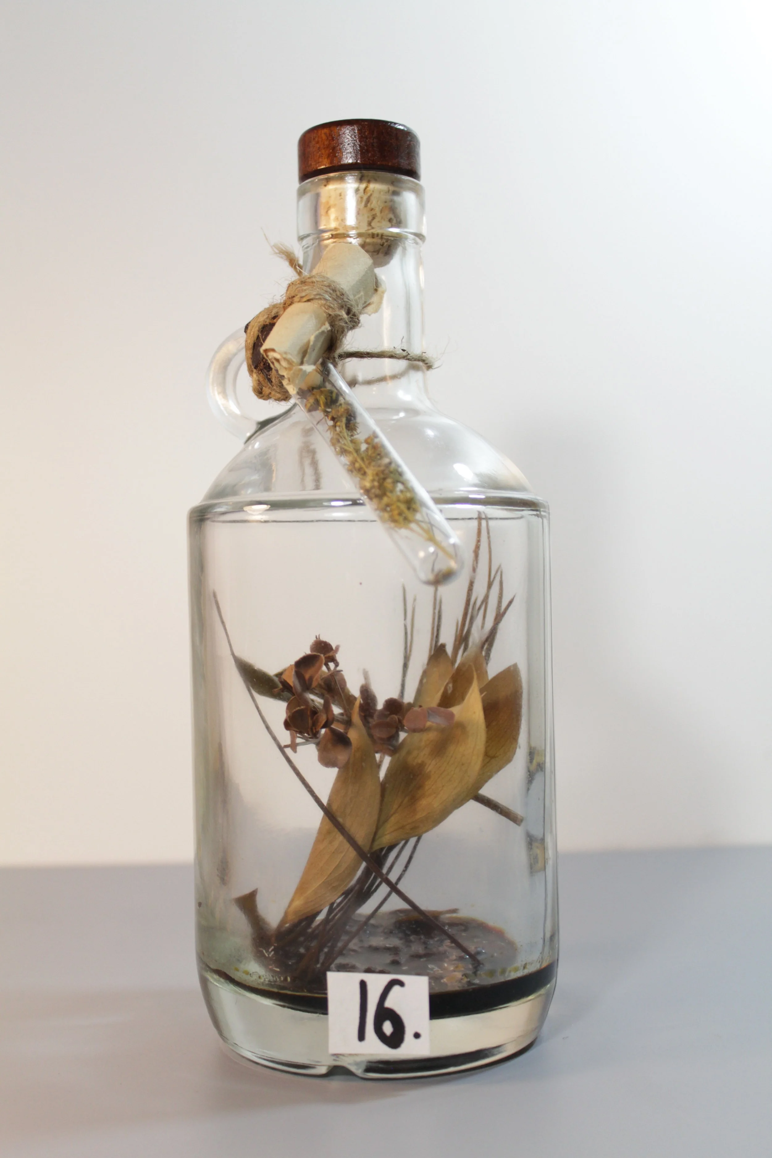 100 Potions for Puerto Rico