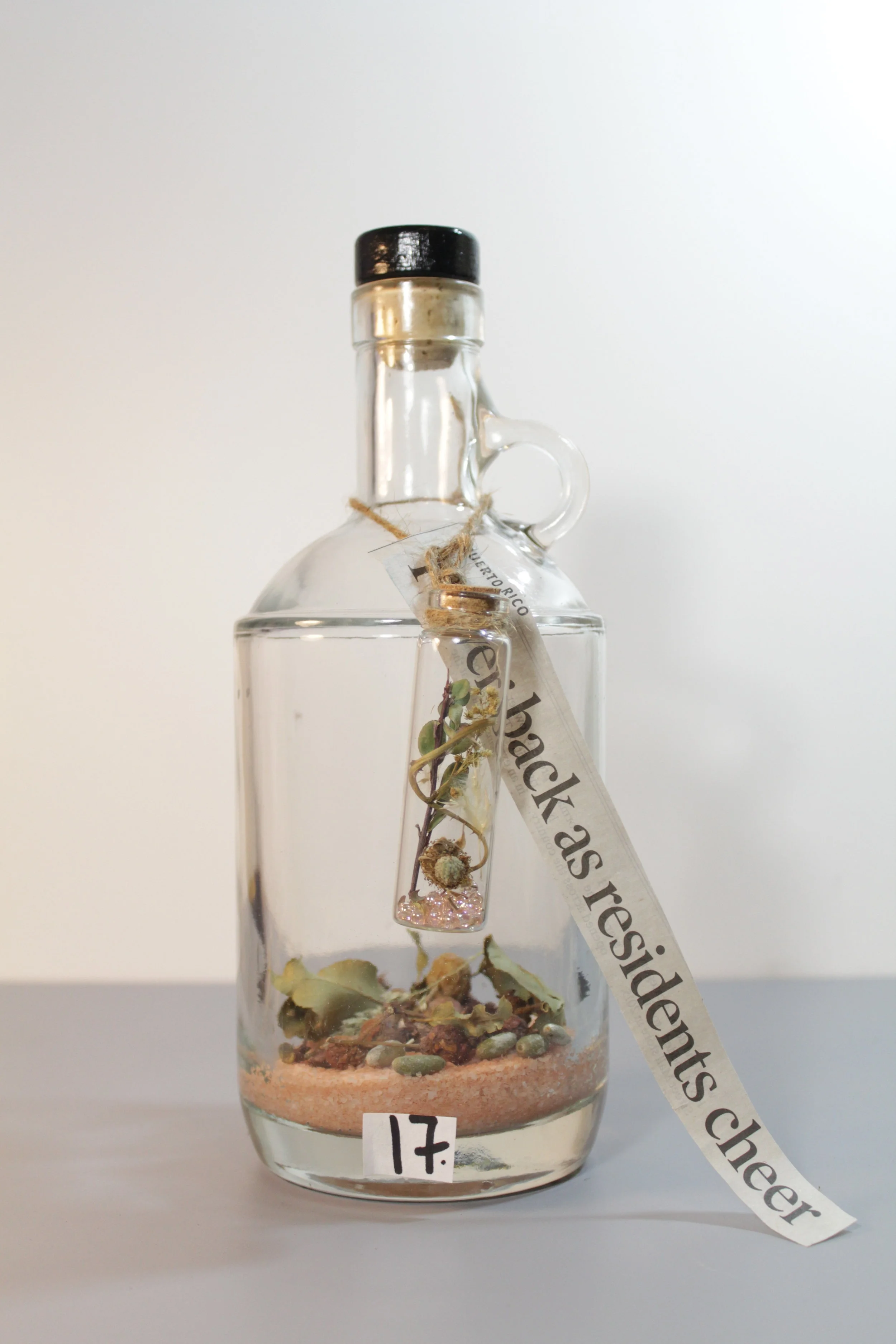 100 Potions for Puerto Rico