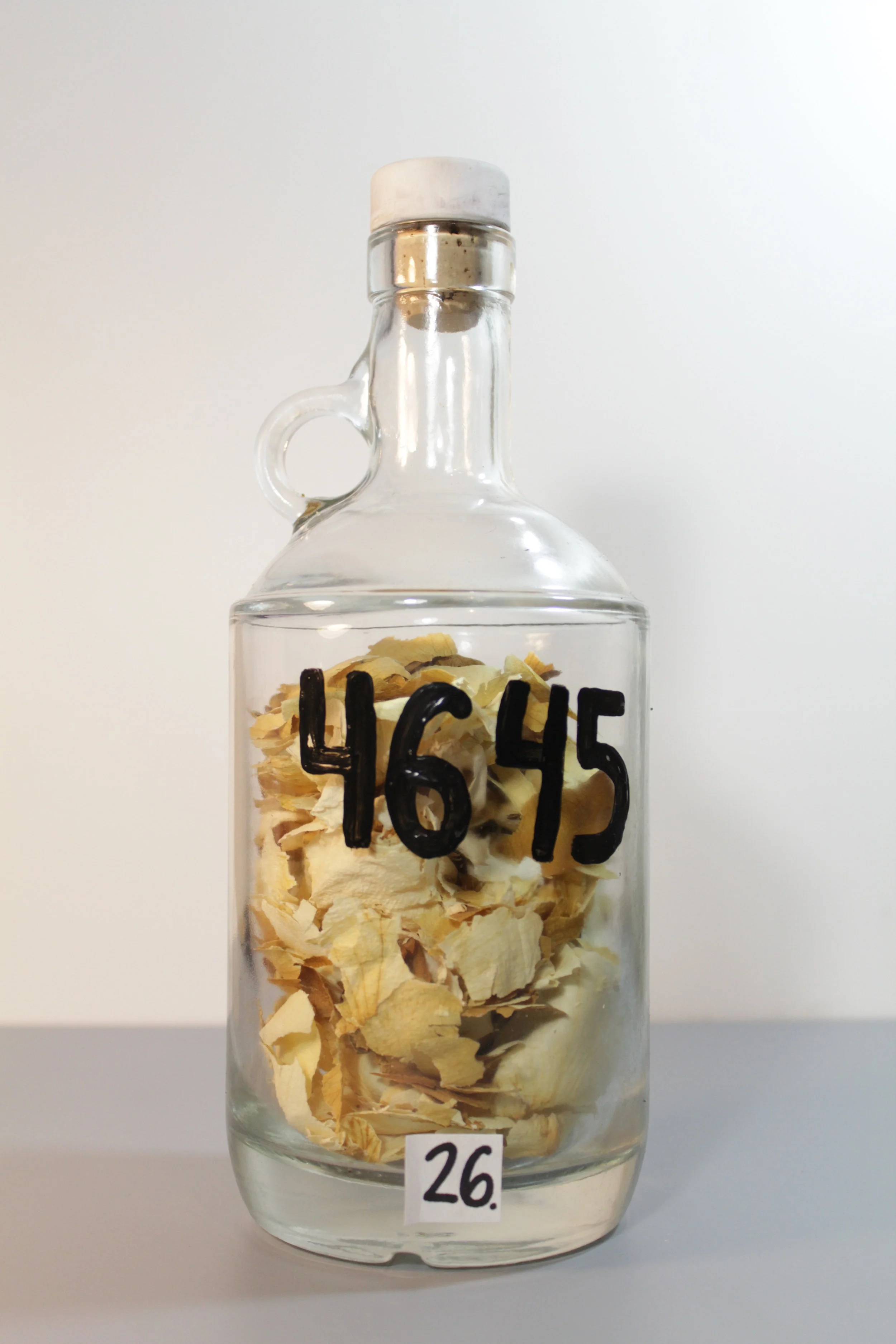 100 Potions for Puerto Rico