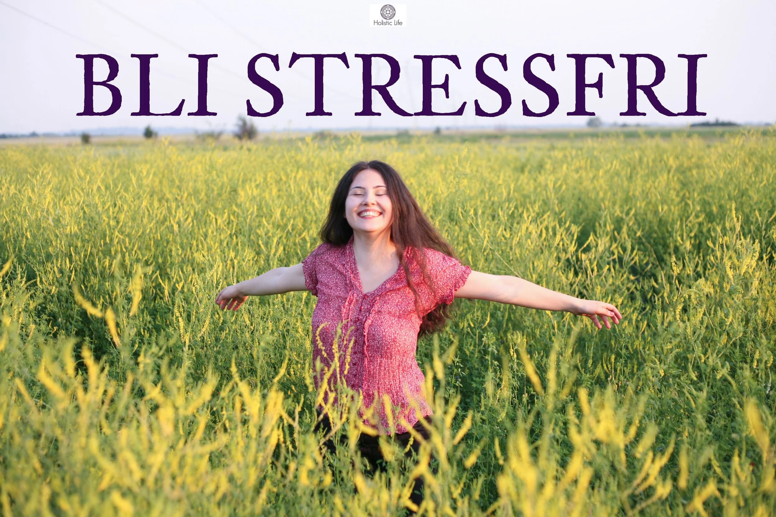 holistic-life-stressfri.jpg