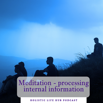 Meditation -  proccessing internal information