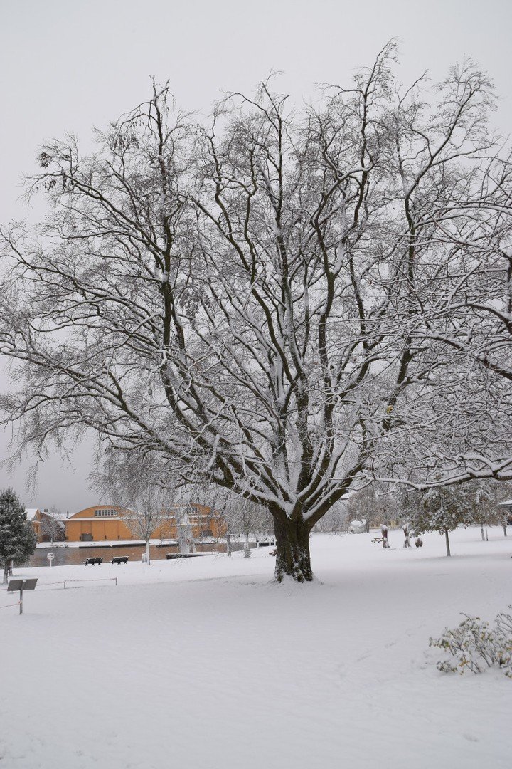 Stillness. Solitude. Reflection.
Time to look back on the lessons of this year, in order to look forward to more hamrony, more wisdom, more love in the new year.

Time to slow down, and instead of chasing "something better" in the bext y