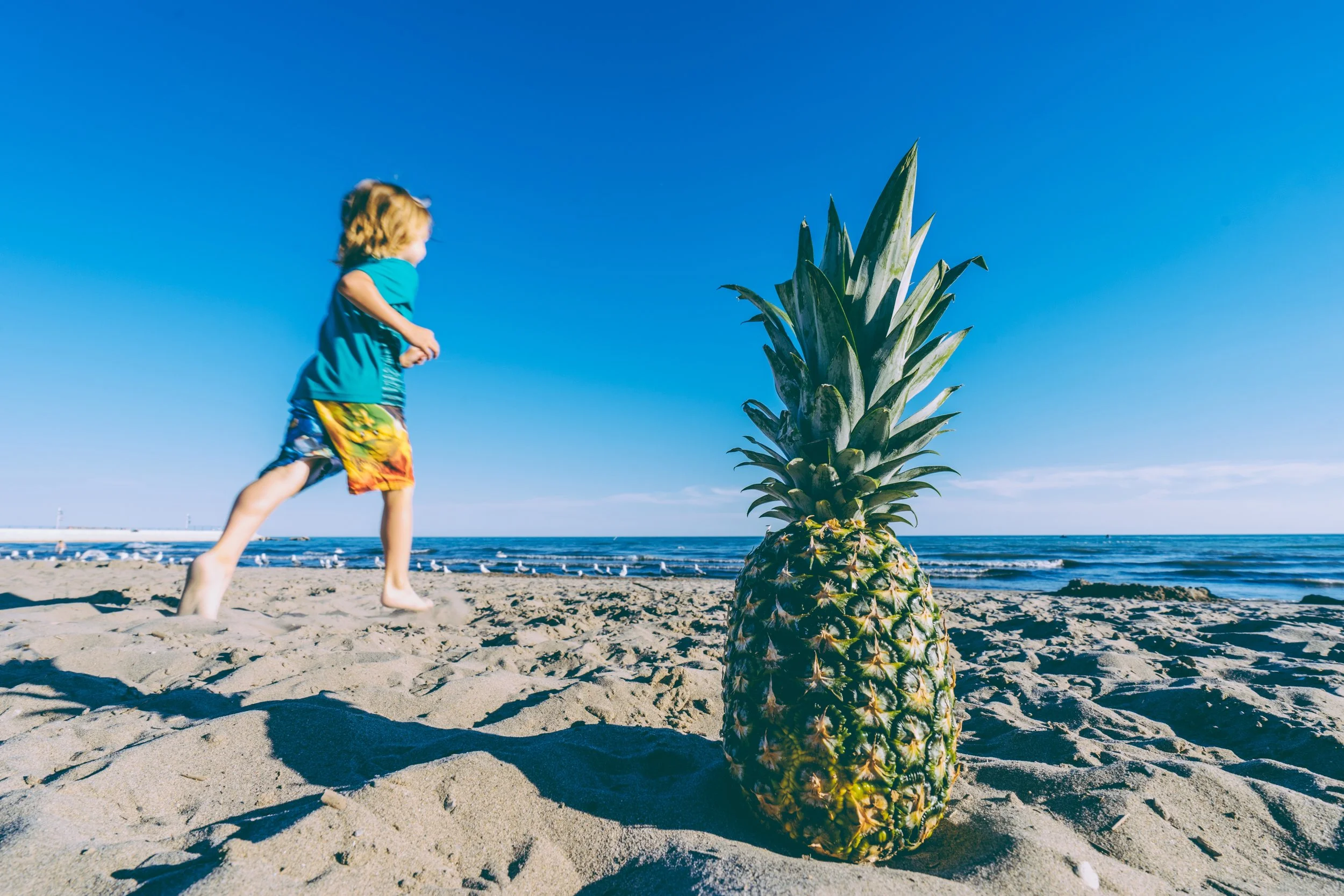 pineapple-supply-co-110191-unsplash.jpg