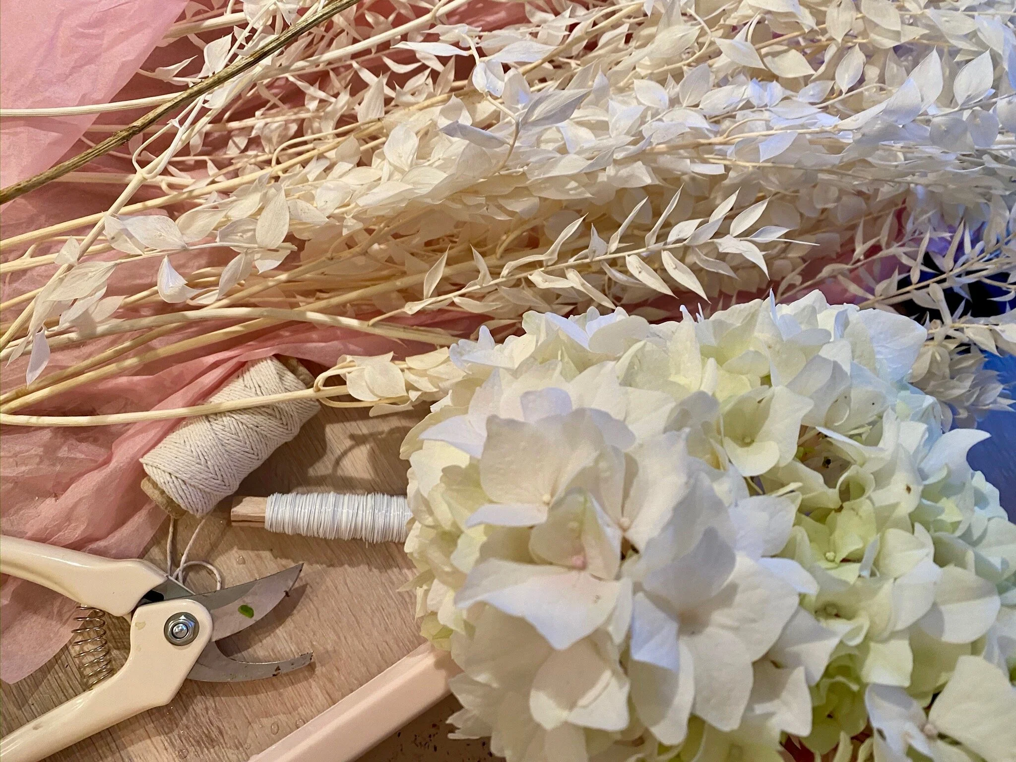 Blomsterguide: 9 hvide vinterblomster