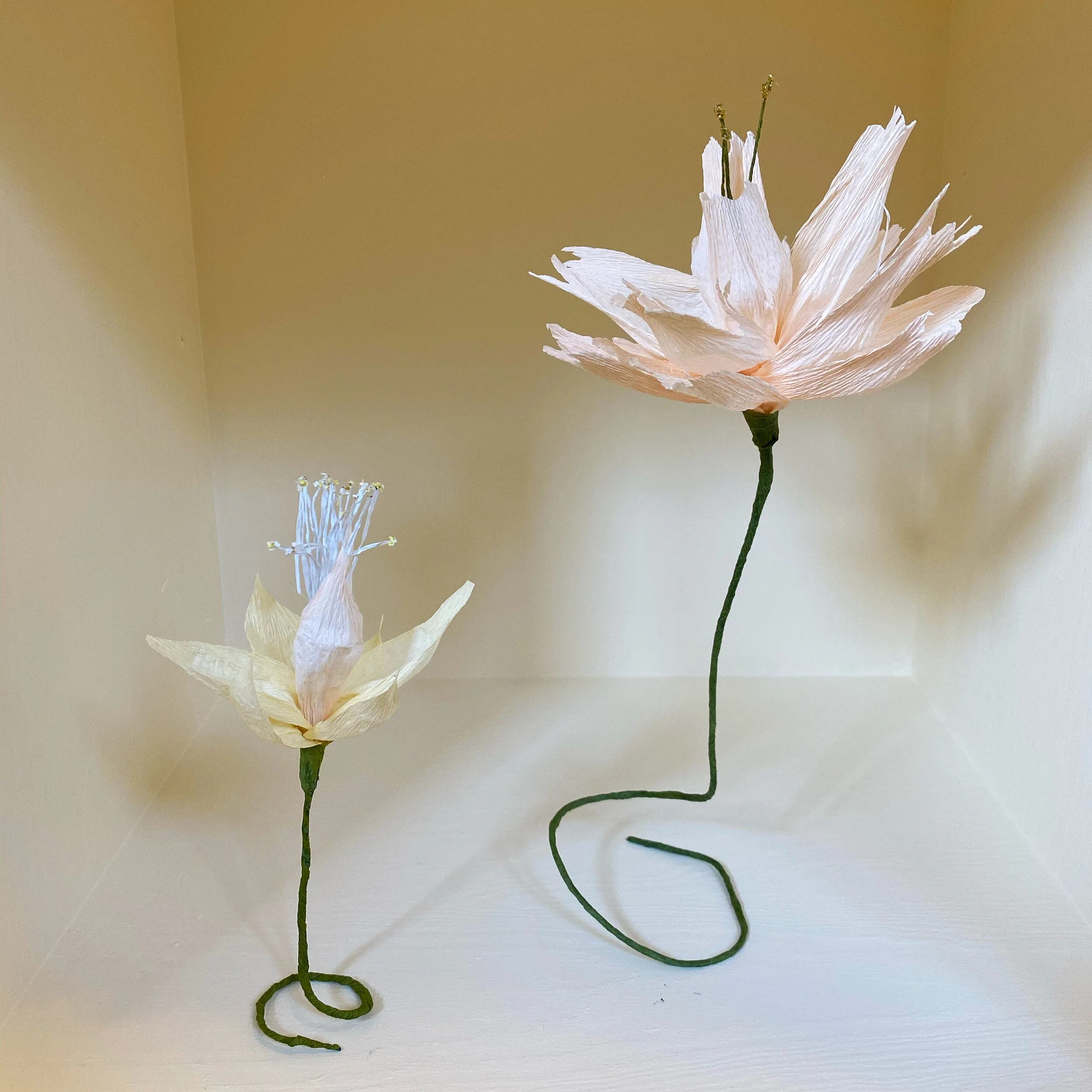 A6451F64-6C8F-4CBB-9C42-6EB15E143FDF.jpeg