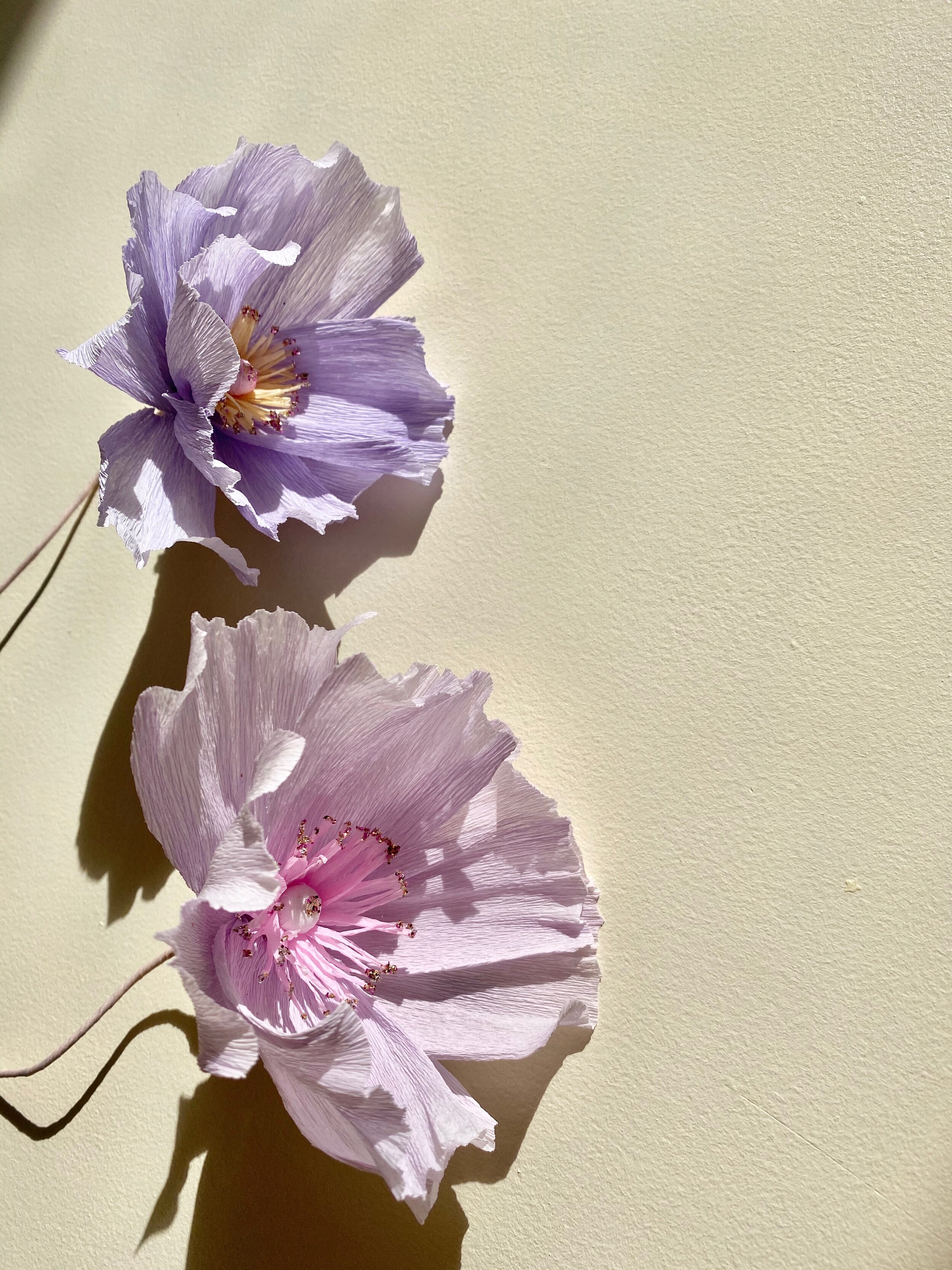 IMG_0759.jpeg