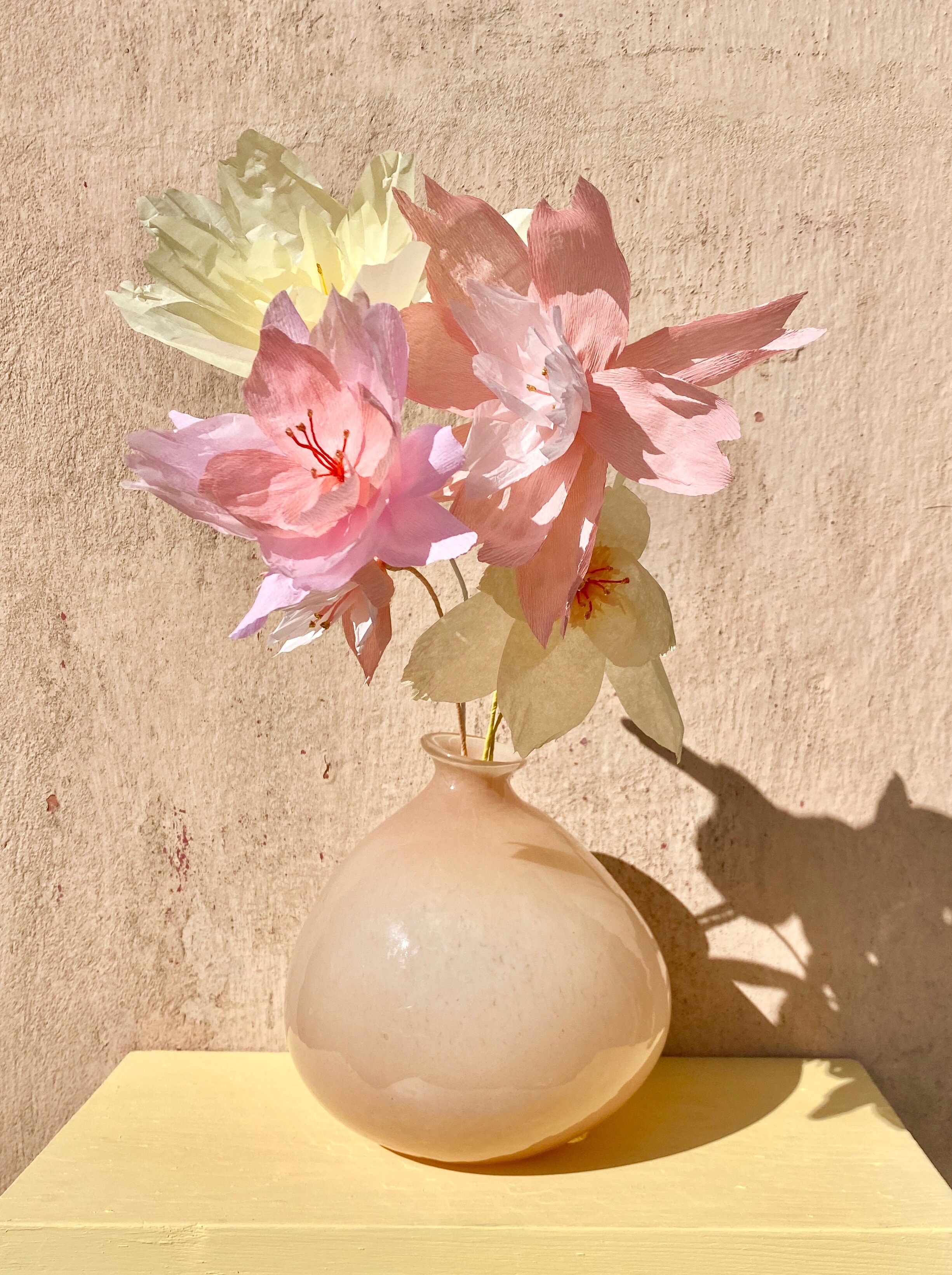 Papirblomster_almeja_space