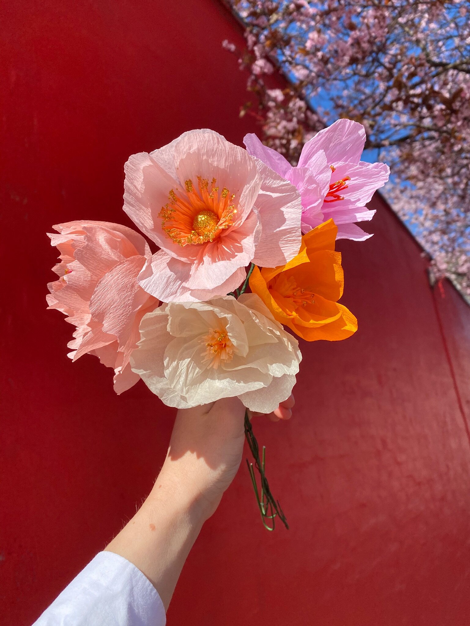 Almeja_papirblomster_buket.JPG
