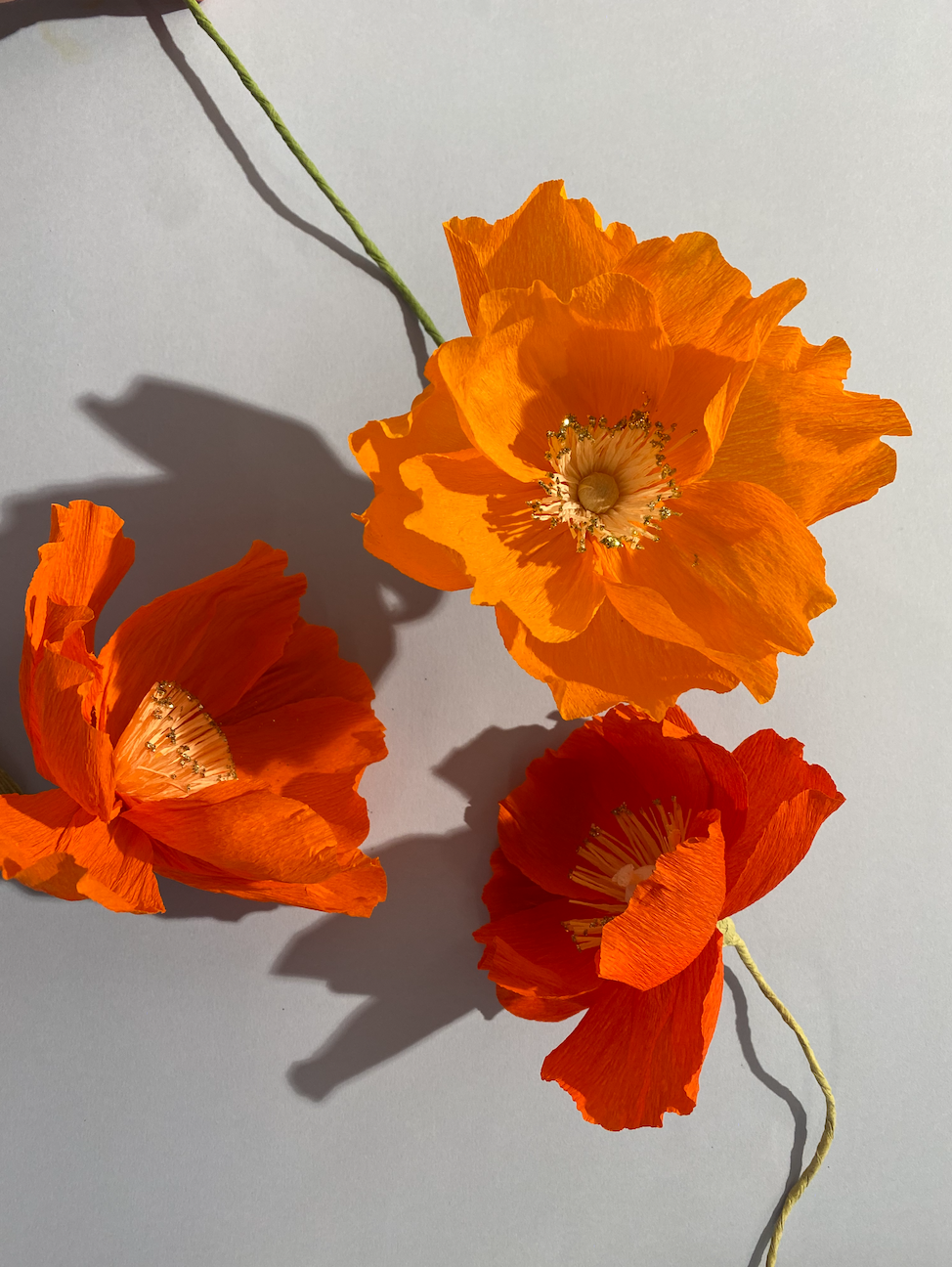 almeja_valmue_papirblomster1.png