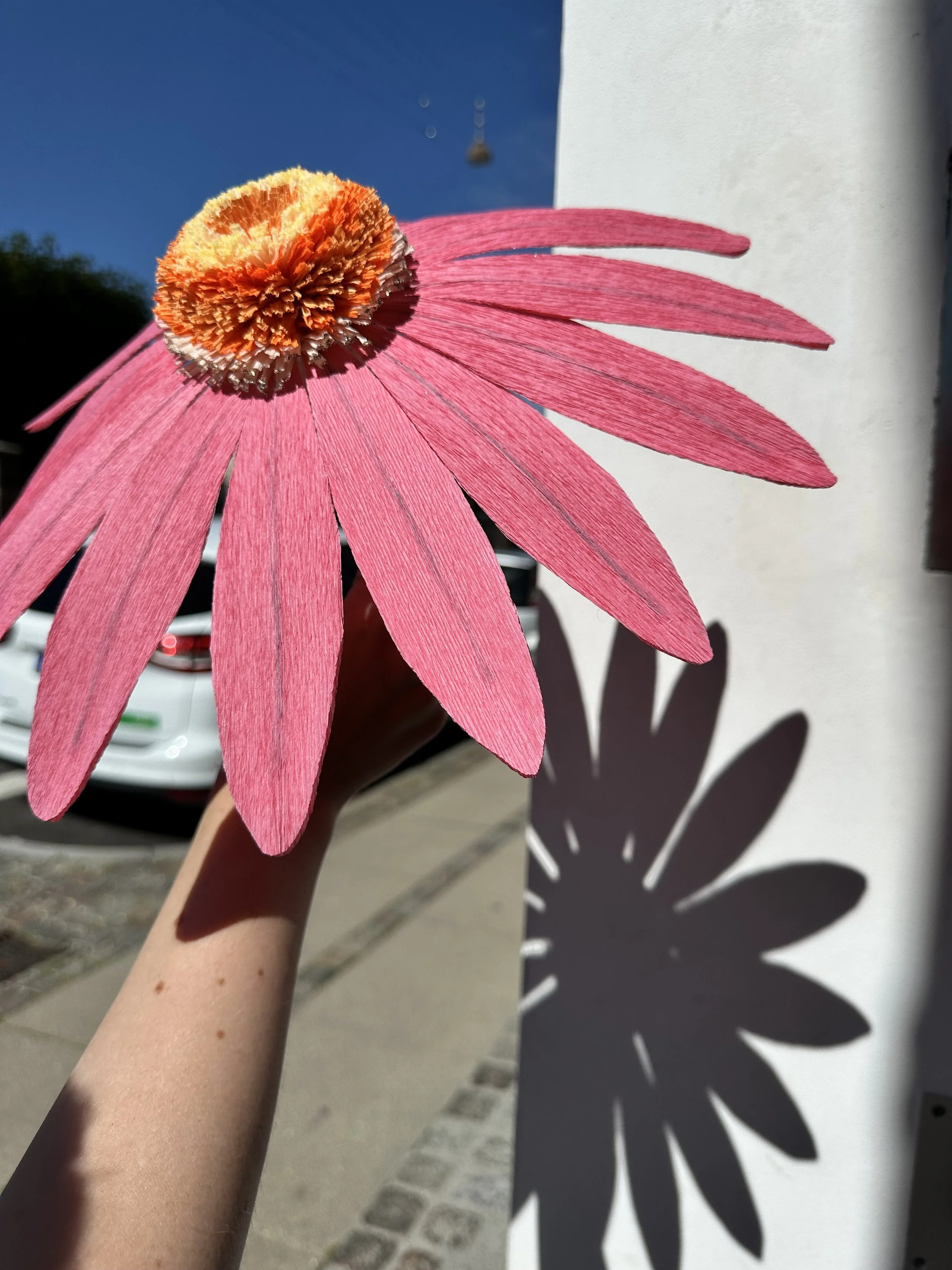 Papirblomster_almeja_space