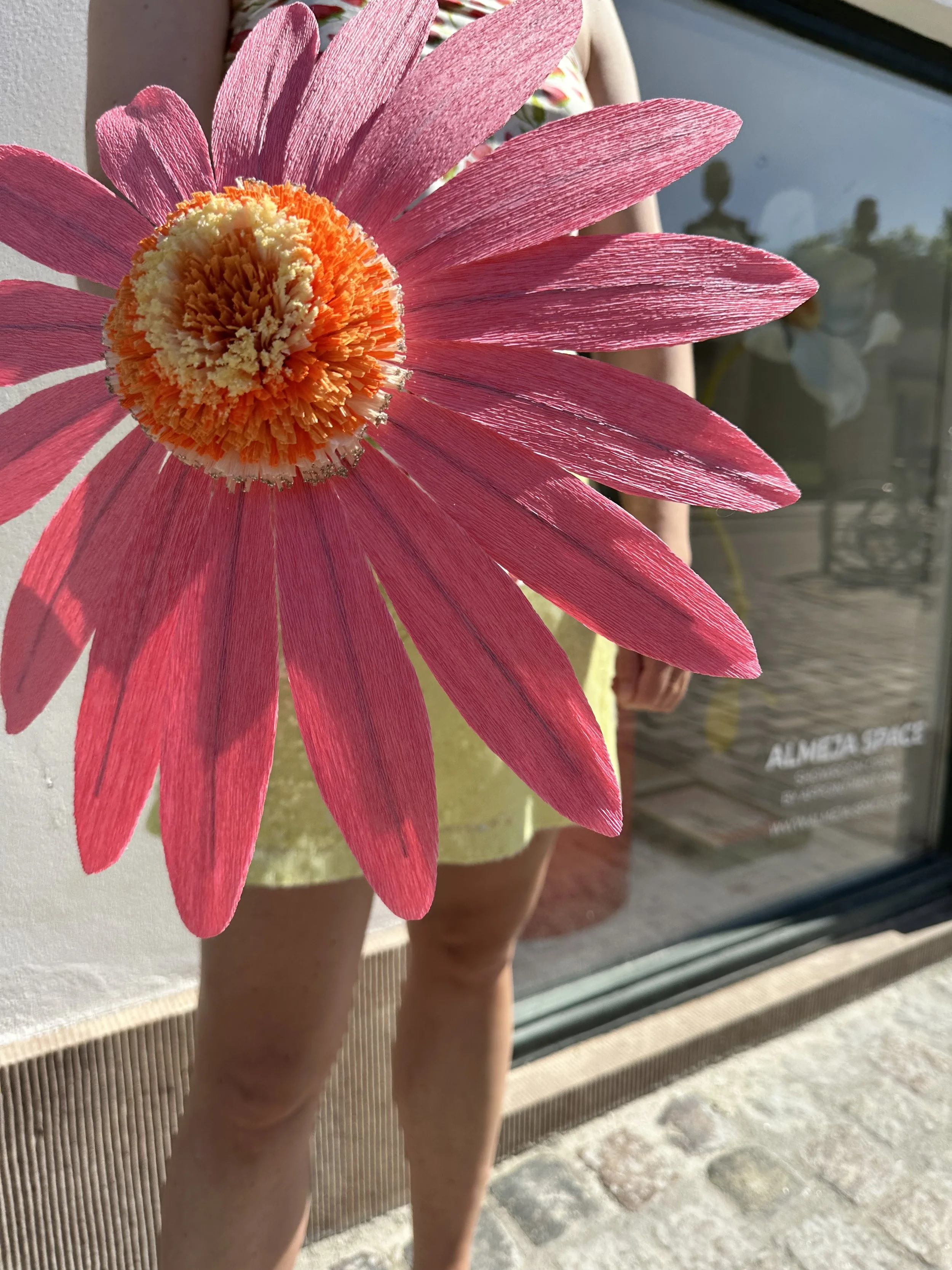 papirblomster_almeja_space