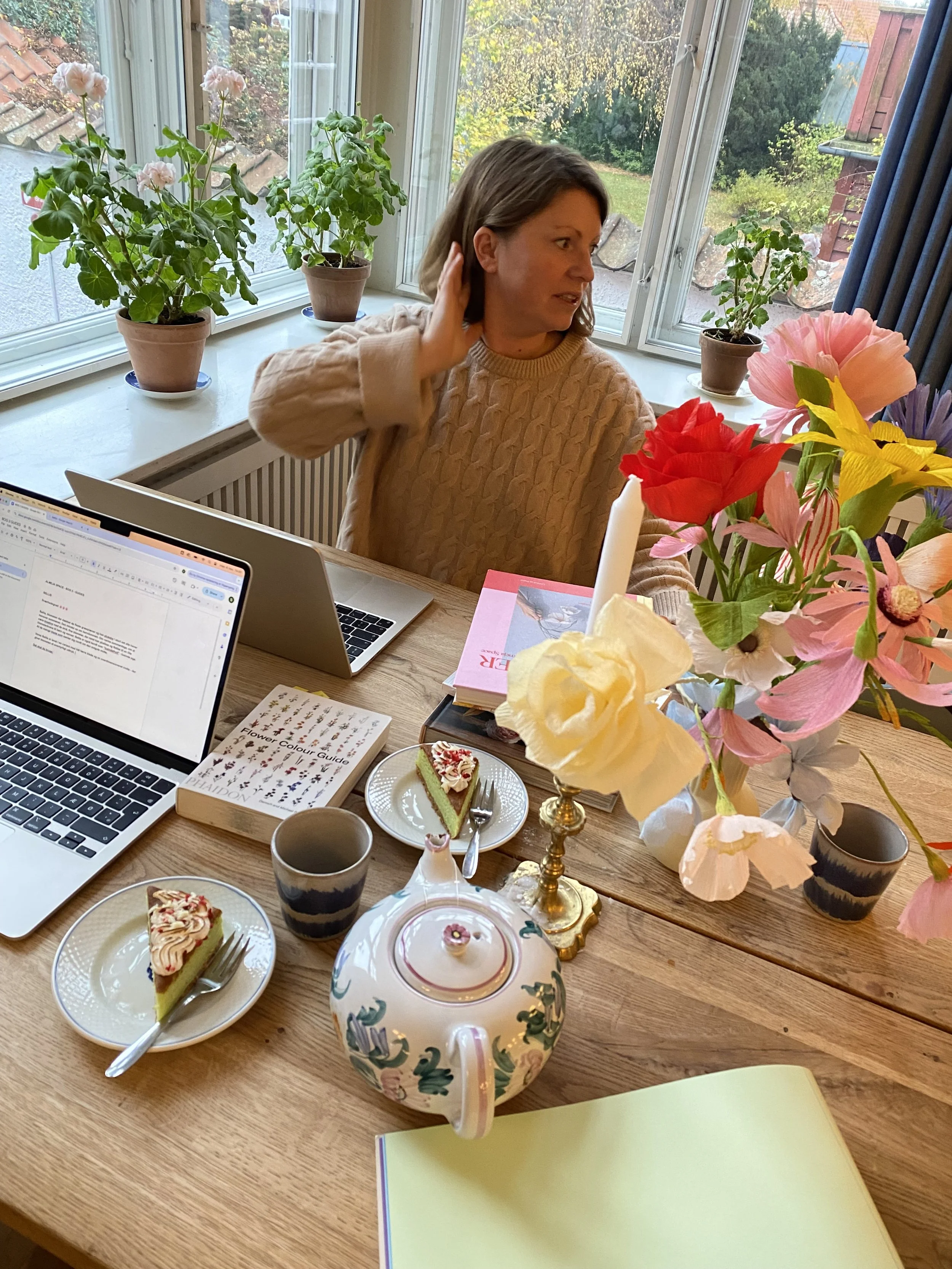BOGNYHED: VOL. 2 KOMMER TIL FORÅRET 🌸