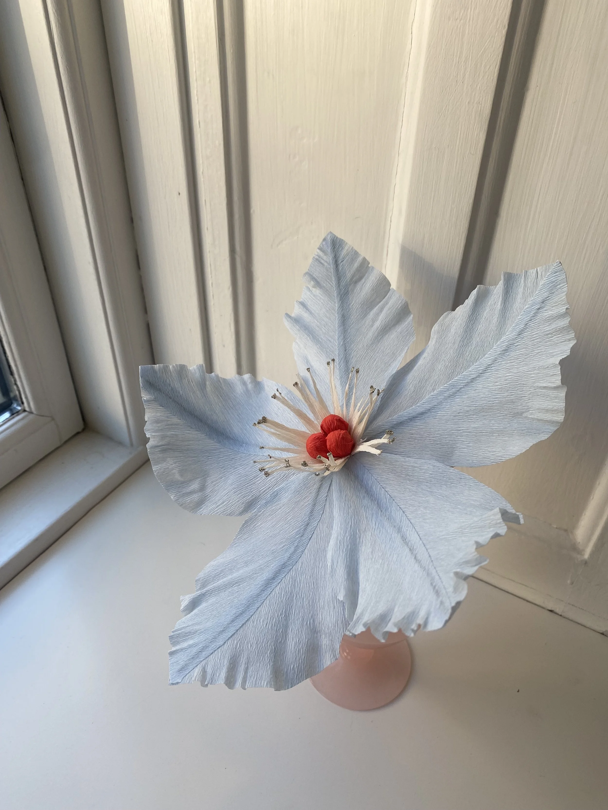 IMG_6640.jpeg