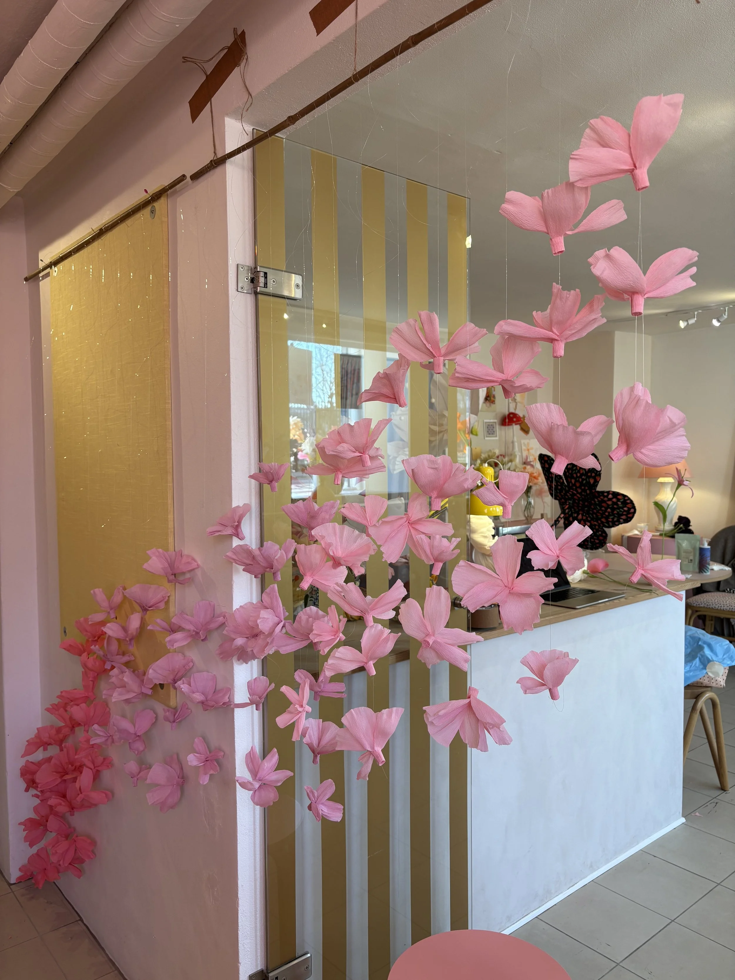 sakura_papir_almeja_space
