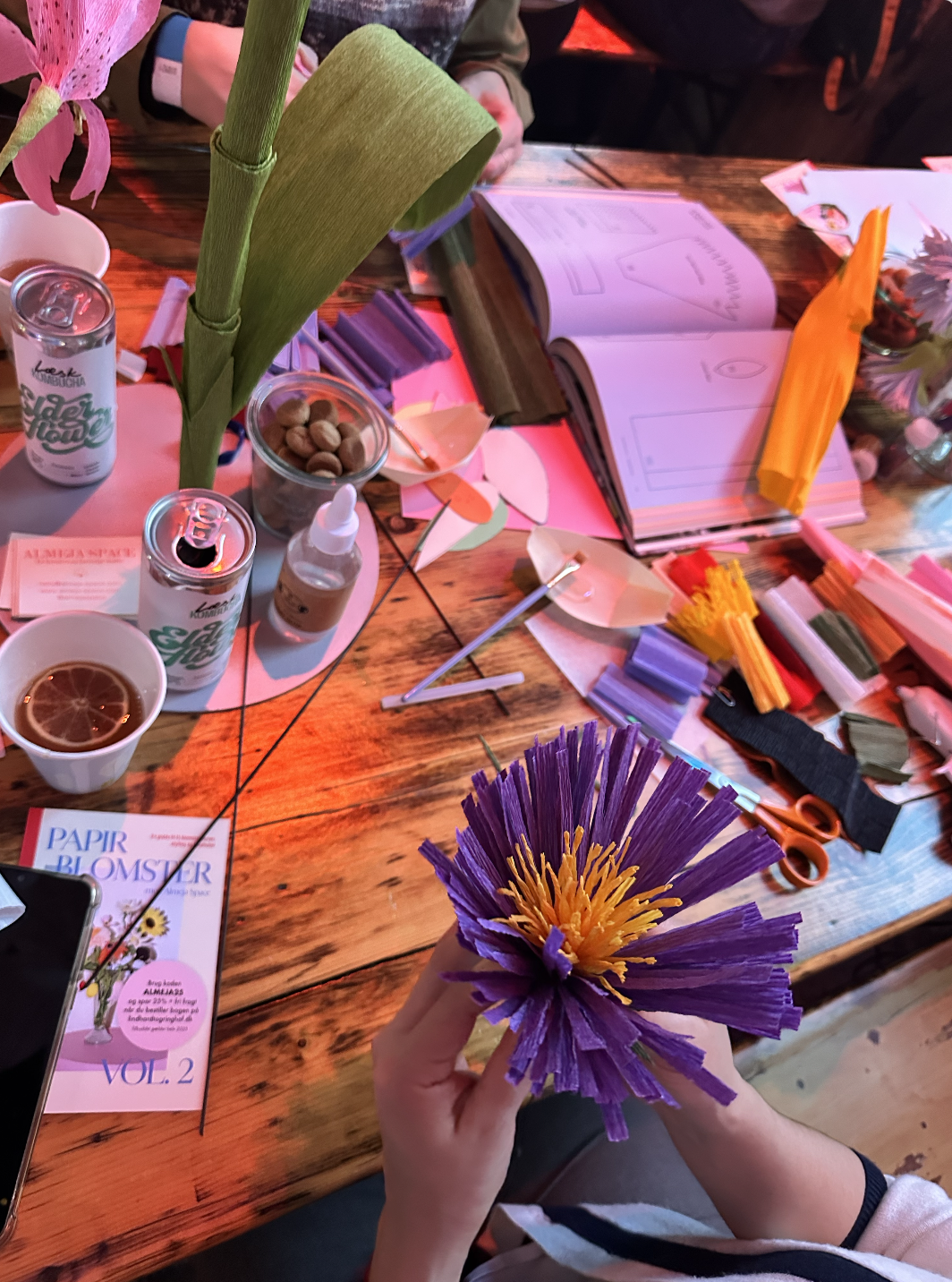 Almeja_space_stor_workshop