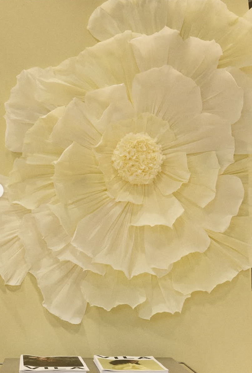 almeja_space_papirblomst_væg_4.png