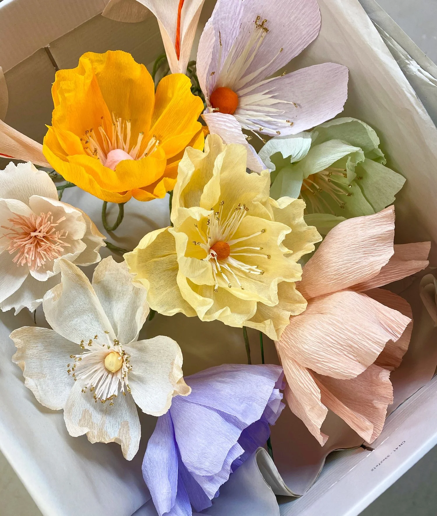 Almeja Space Workshop - 3 .jpeg