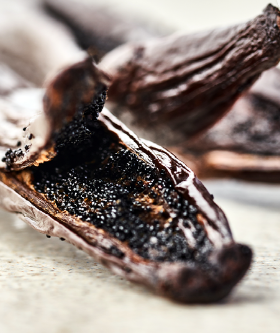 vanille fendue gros plan.PNG