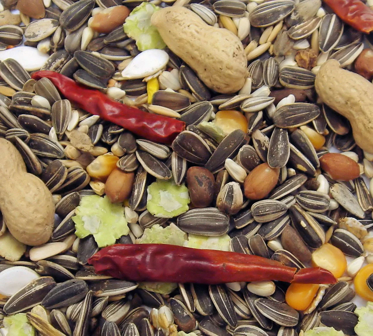 Parrot Feast