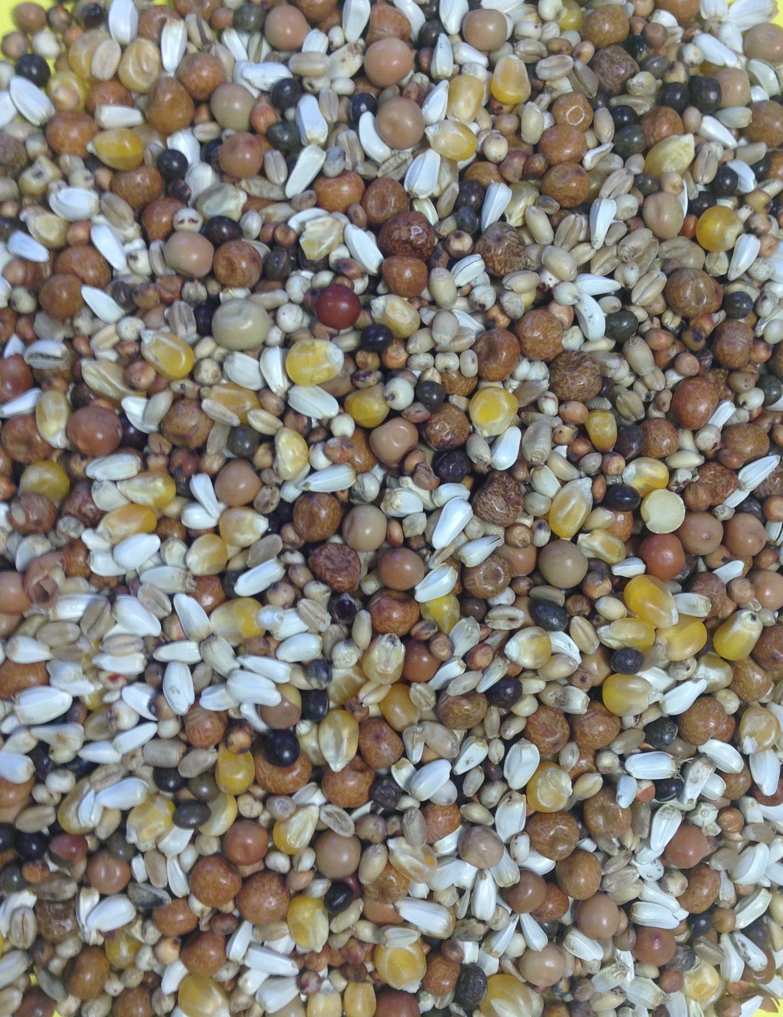 Cowood Special 20kg