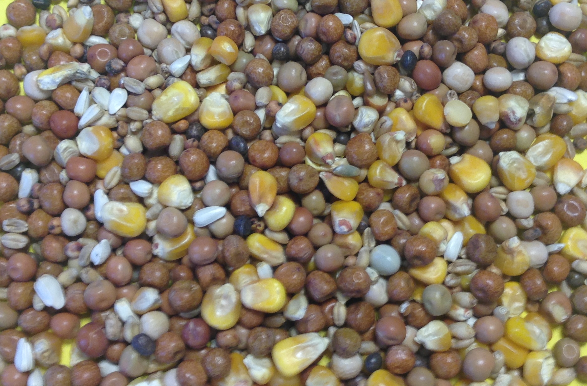 Breeding 20kg