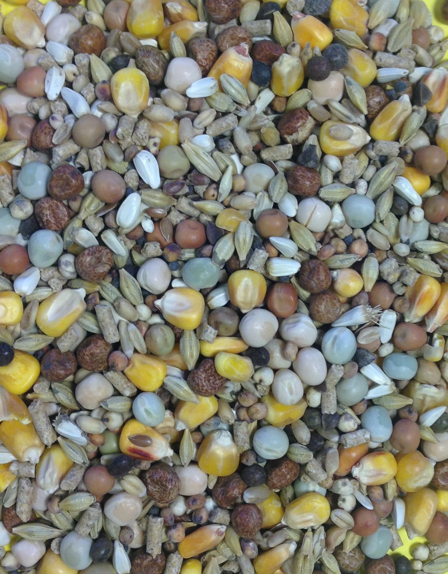 Super Moult plus G10s 20kg