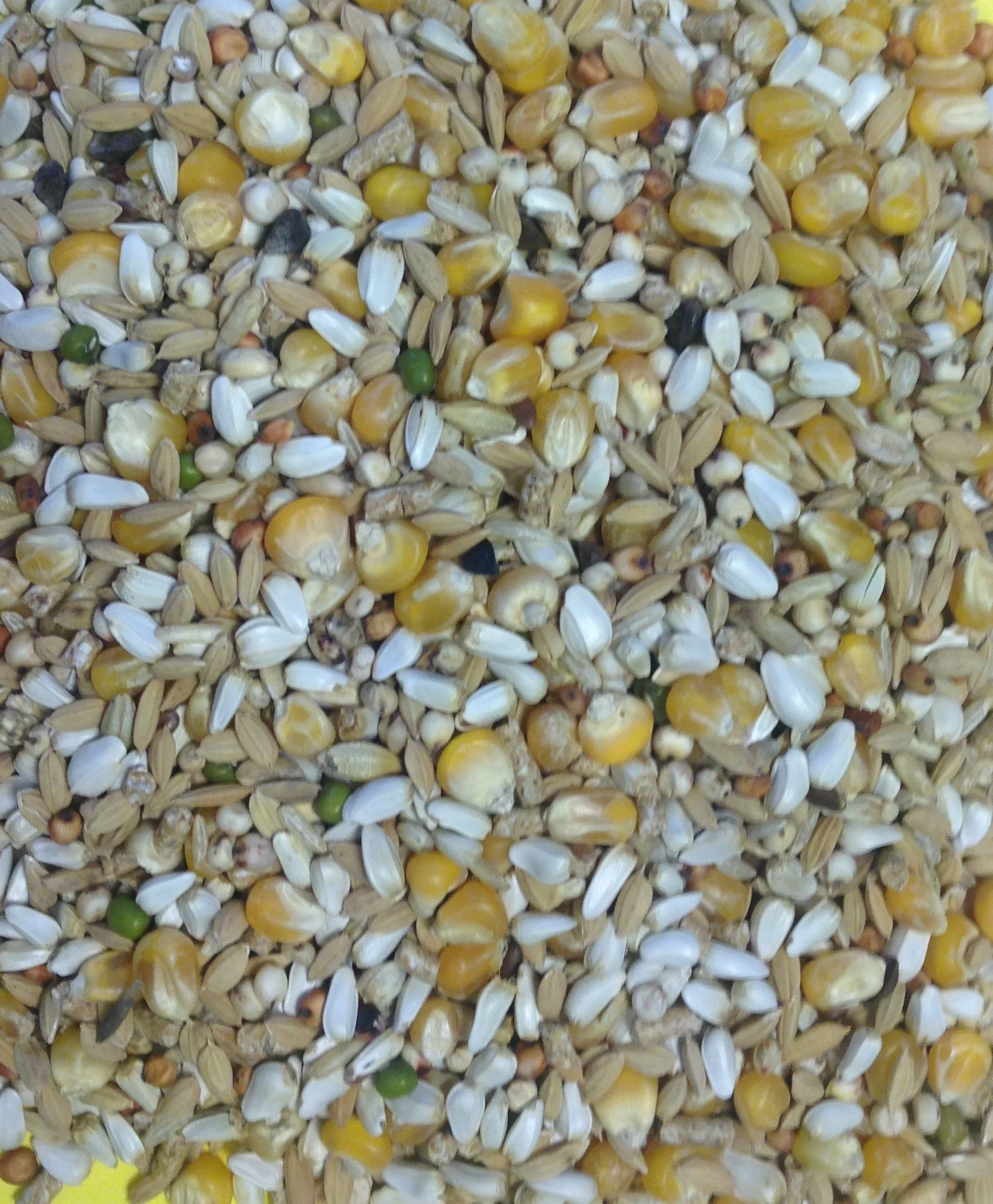 Gem plus G10s 20kg