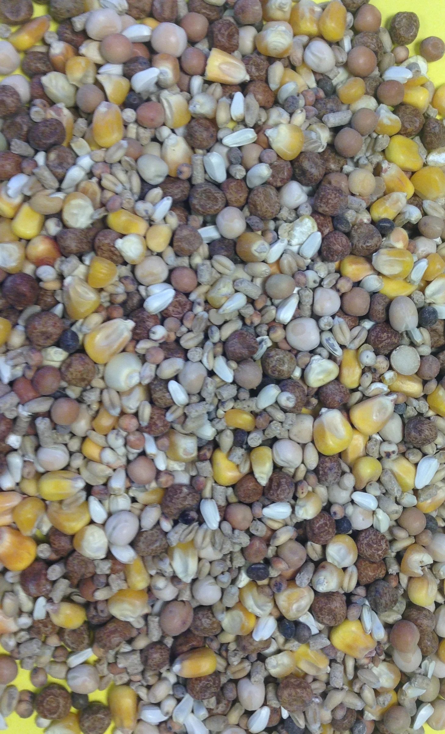 Breeding plus G10s 20kg