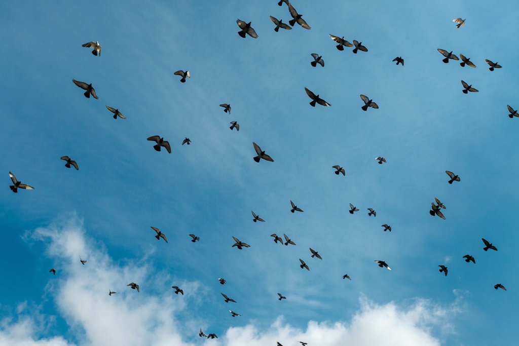 AdobeStock_141705751 edit.jpeg