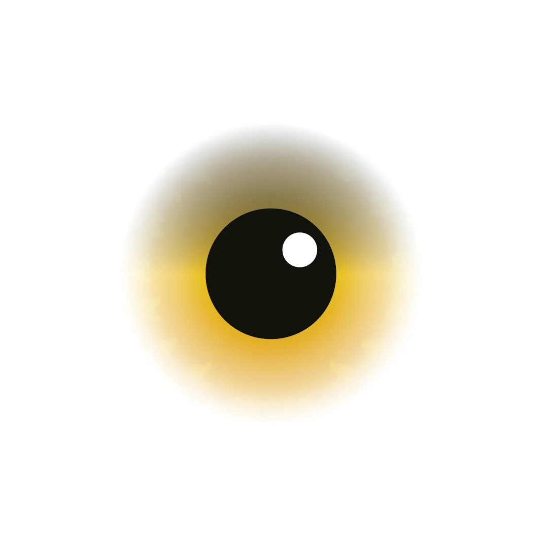 eye_def1.jpg