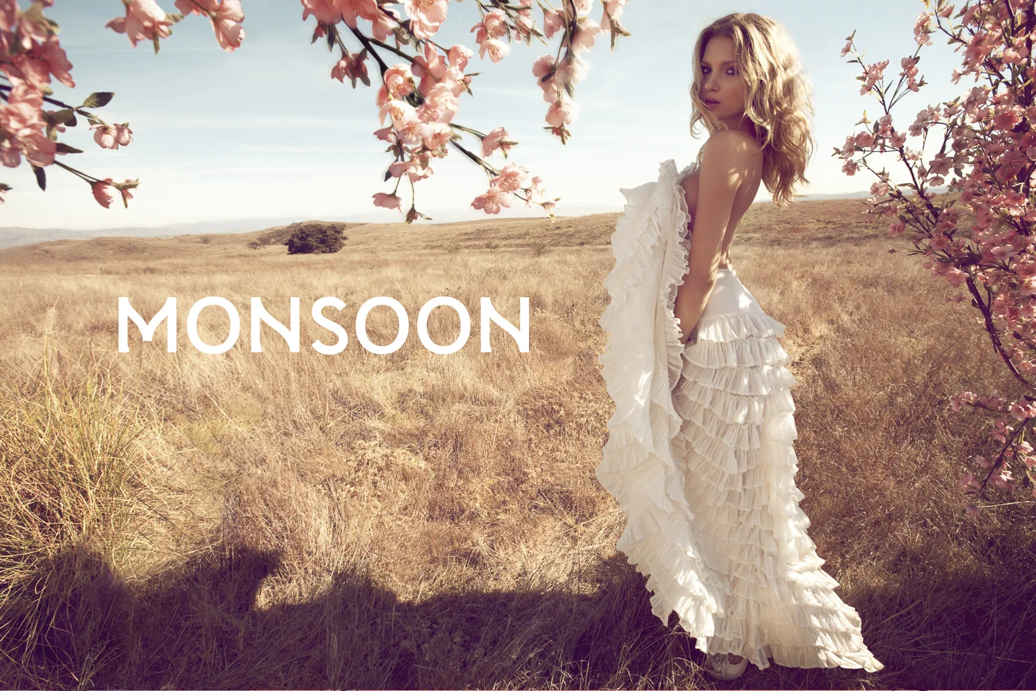 monsoon camilla dress