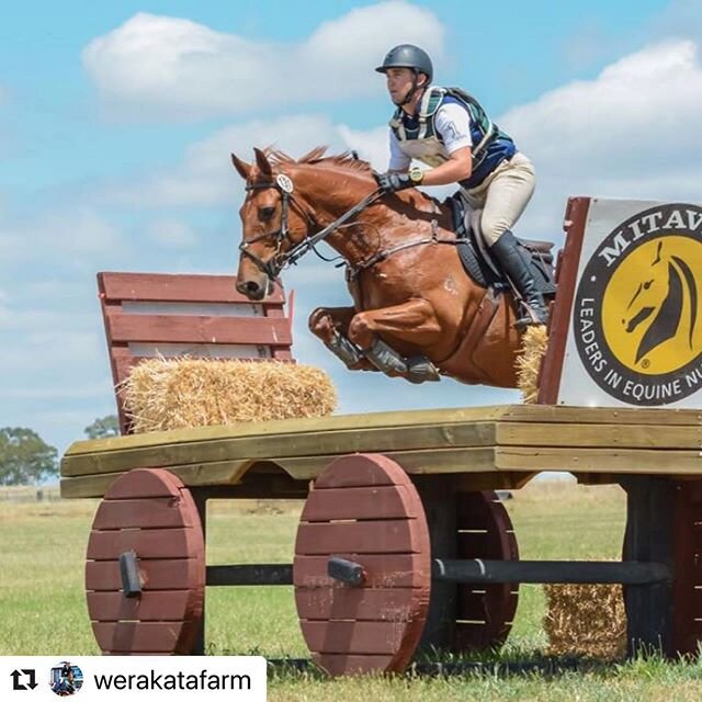 #Repost @werakatafarm with @make_repost
・・・
2 Day Clinic 7th and 8th of June

WERAKATA FARM EVENTING CLINIC  Andrew Barnett  2 day clinic  7th and 8th of June -X-country on course with Andrew. 2hr group lessons - Showjumping with Andrew 2 hr group le