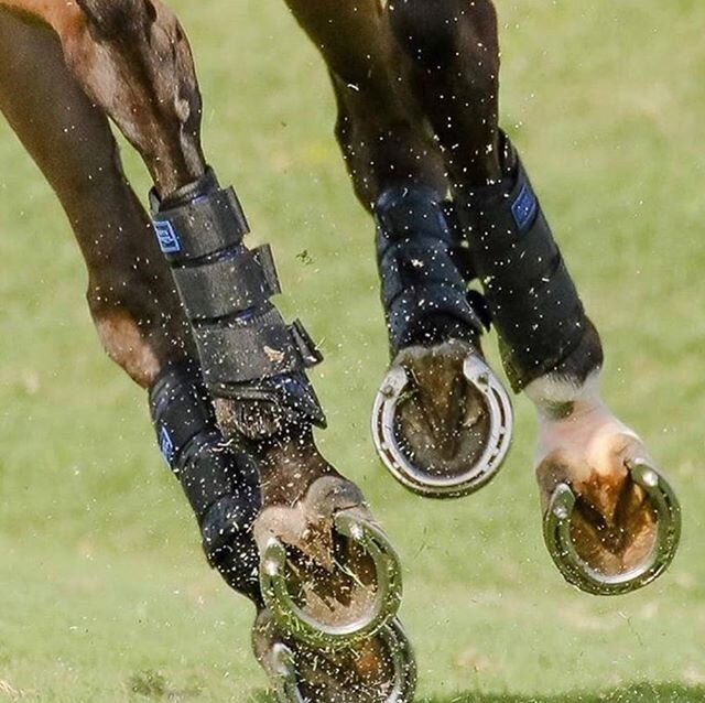 We&rsquo;re so excited to have entered our first event at Denman, who else got their entries in #denman #horsetrials #eventing #dressage #crosscountry #showjumping #strideequine #majykequipe #passier #magnawave