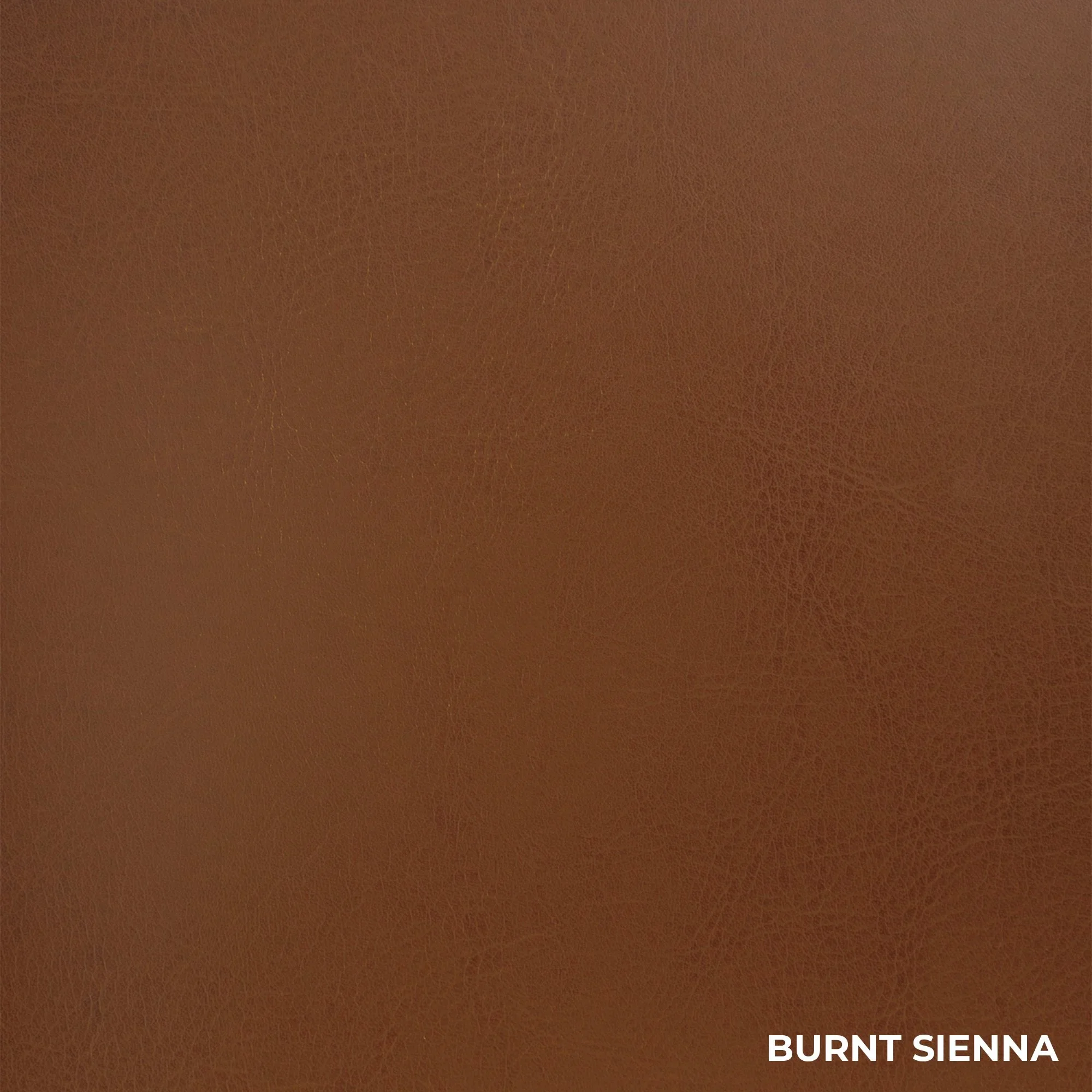 Burnt Sienna Tamarac