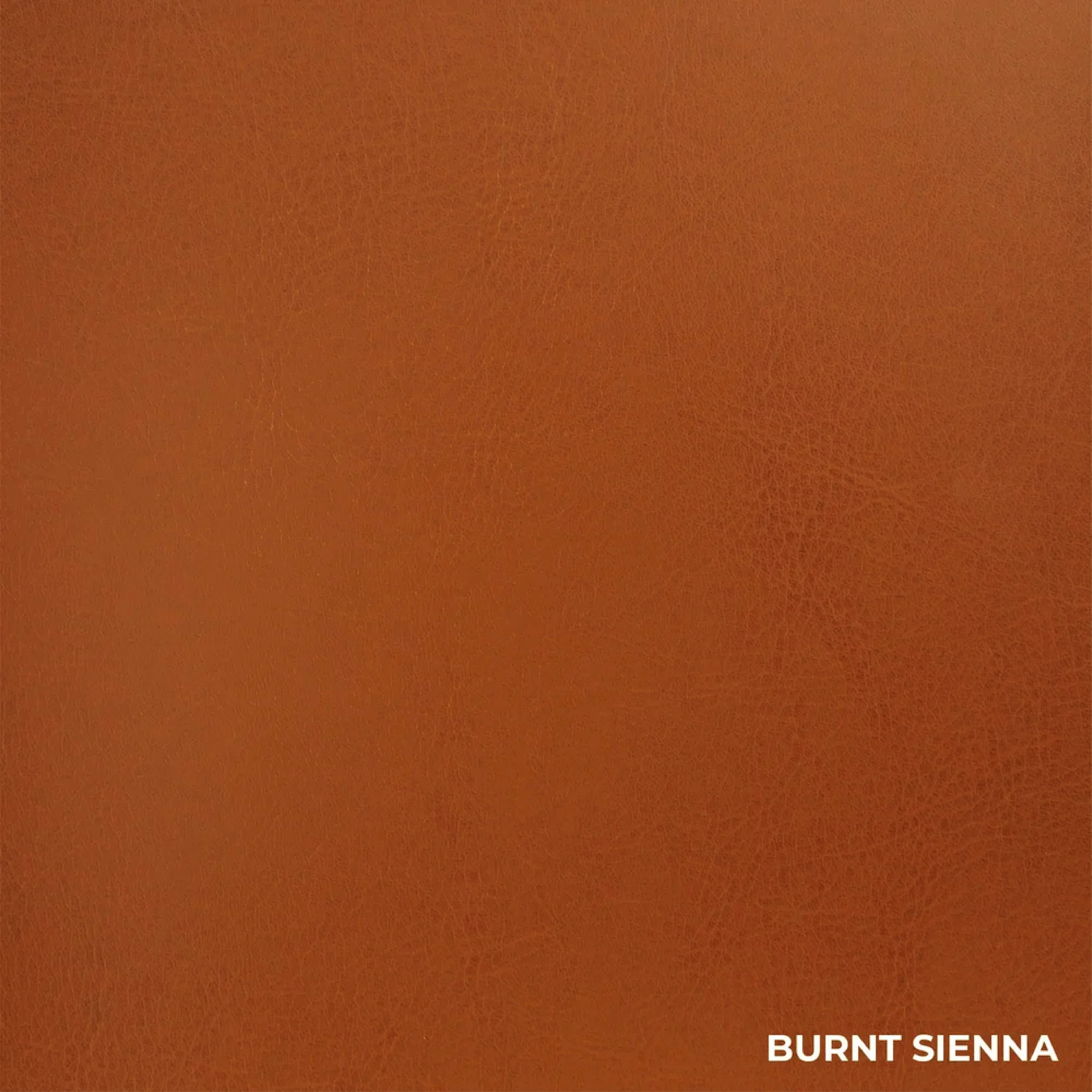 Burnt Sienna Tamarac