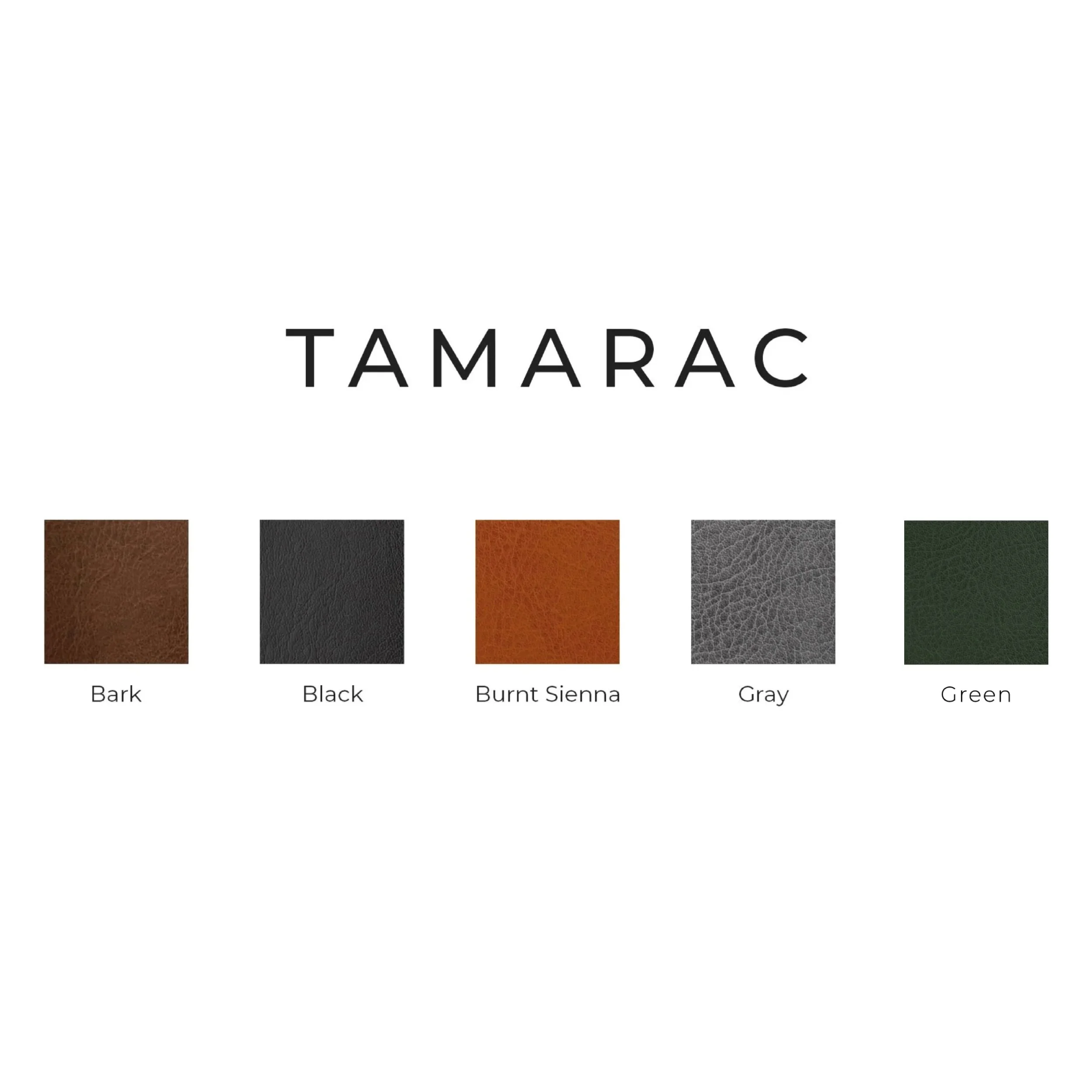 Tamarac-2026 SYNT3.jpg