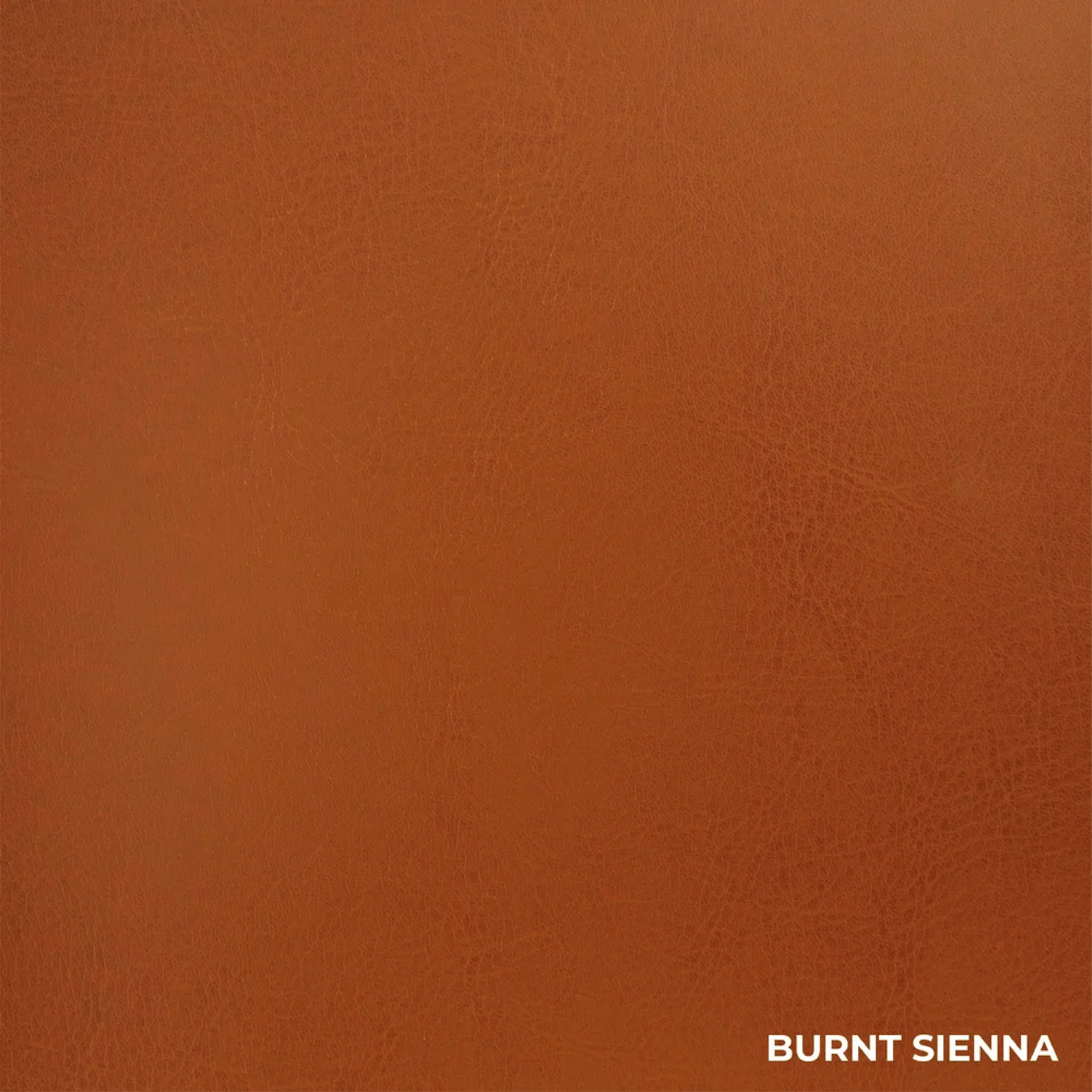 Burnt+Sienna+SYNT3.jpg