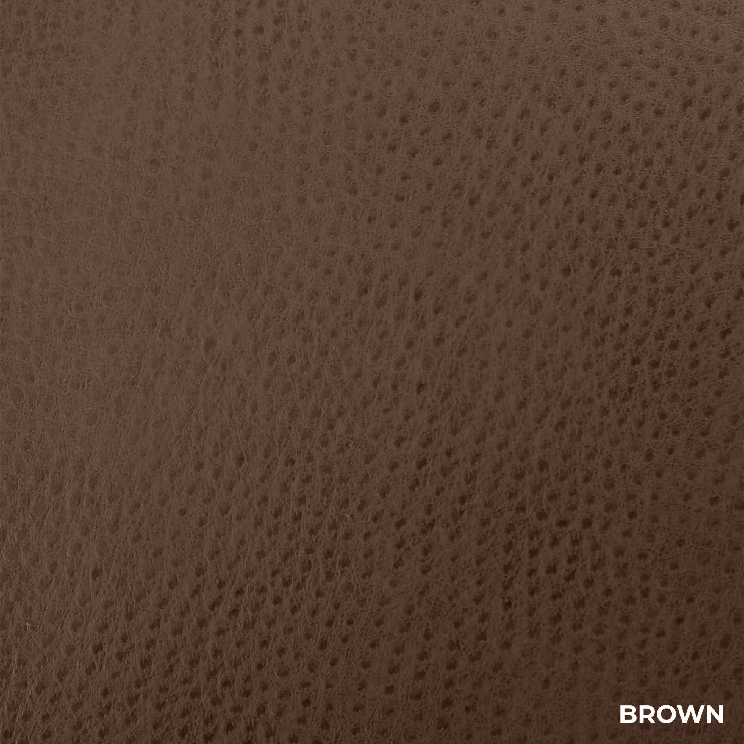 Brown-New.jpg