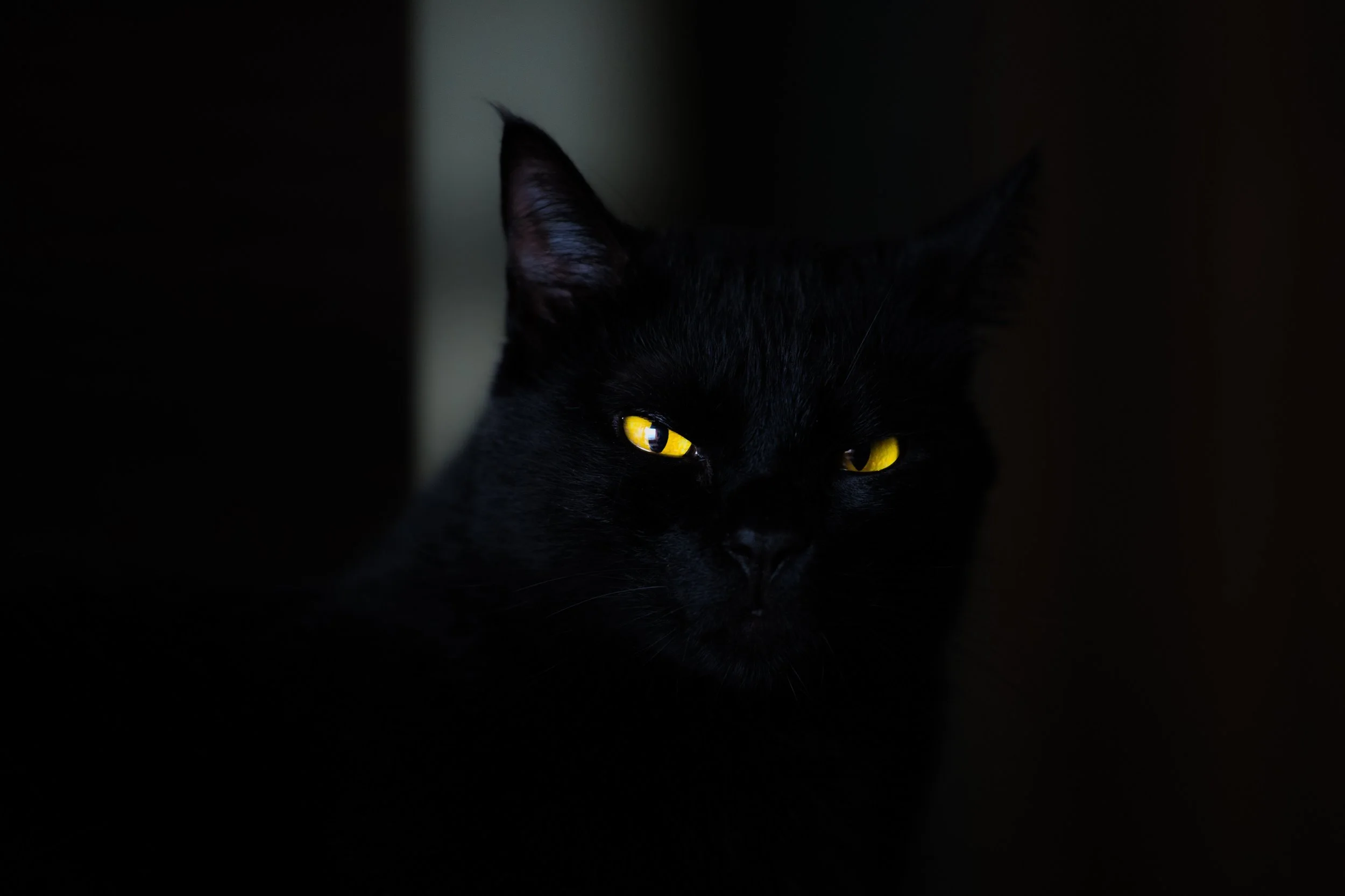 Foto: Eduardo Mallmann/Unsplash